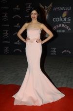Divya Khosla Kumar at the red carpet of Stardust awards on 21st Dec 2015